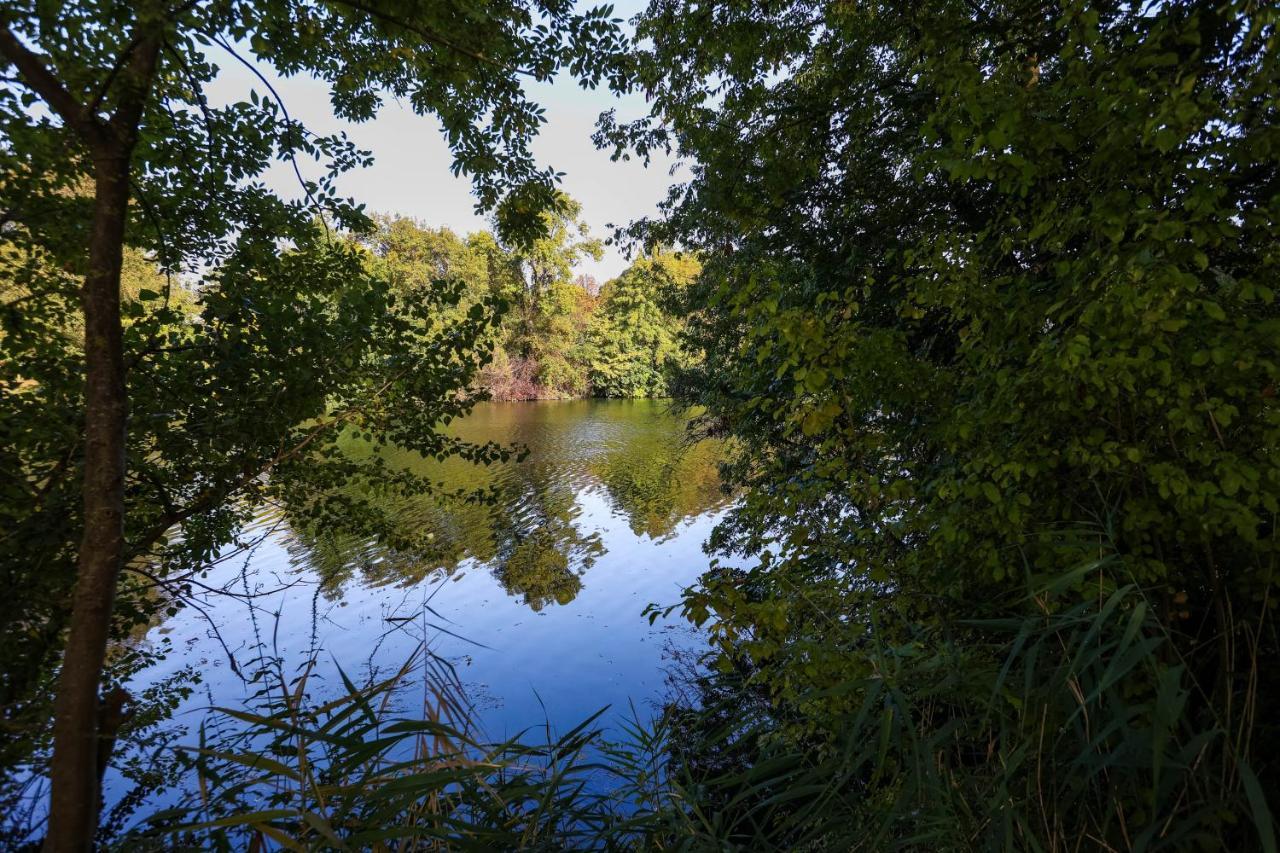 Le Saint Martin #Centre Ville #Charente #6Pers Cognac Luaran gambar